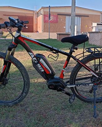 montain bike assistita e bike