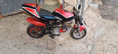 minimoto