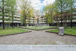 Appartamento a Solaro Piazza Grandi 3 locali