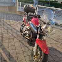 Breva 1100