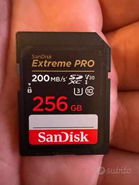Sandisk SD card 256GB