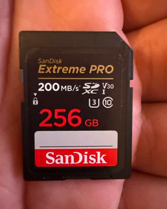 Sandisk SD card 256GB