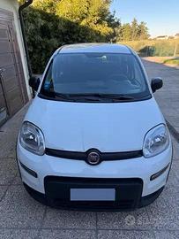 Fiat Panda - Pandina III 2024 Pandina 1.0 firefly