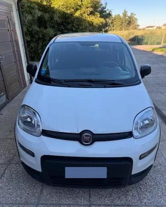 Fiat Panda - Pandina III 2024 Pandina 1.0 firefly