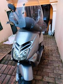 Aprilia Leonardo 250 - 2003