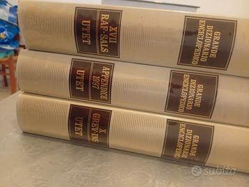 Grande enciclopedia dizionaria