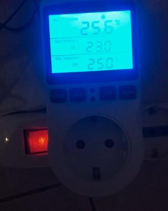 Termostato per camera calda pappagalli