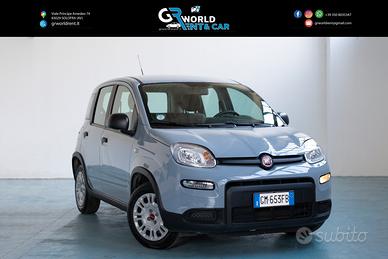 Fiat Panda 1.0 FireFly S&S Hybrid 70CV 2022 IVA ES