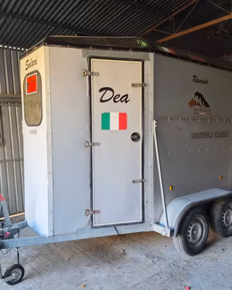 Trailer trasporto cavalli