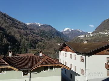 Appartamento in Trentino