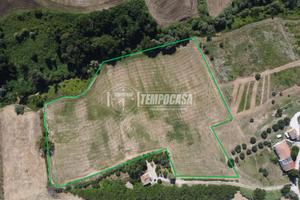 Terreno agricolo di 3 ha in posizione panoramica