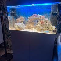 Acquario marino jawel