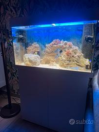 Acquario marino jawel