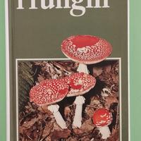 Guida hai Funghi 