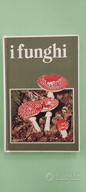 Guida hai Funghi 