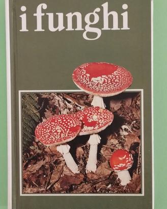 Guida hai Funghi 