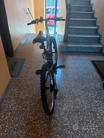 Mountain bike