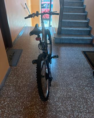 Mountain bike