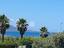Immagine 29