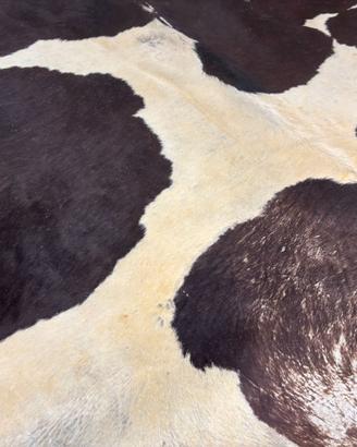 Pelle di mucca bianca e nera