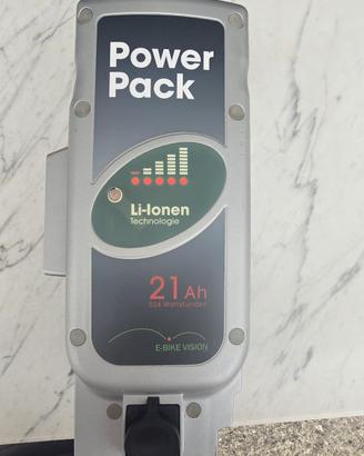 Batteria Bici Elettrica con caricabatterie