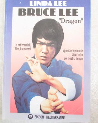 Bruce Lee Dragon