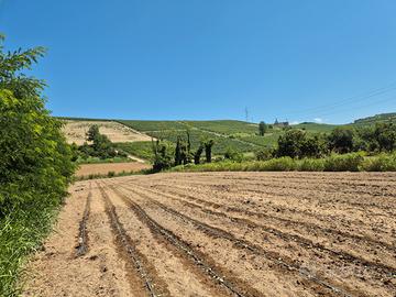 Terreno edificabile canale d alba