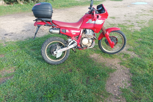 Honda dominator