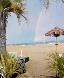 Vacanze dal 1 al 15 luglio