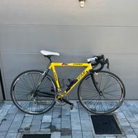 Bici da corsa Fiore taglia 52 Campagnolo Chorus