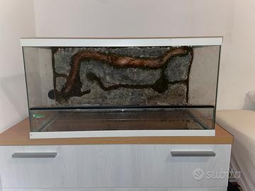 Terrario Creas Giungla 3