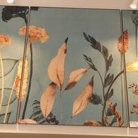 pannelli decorativi