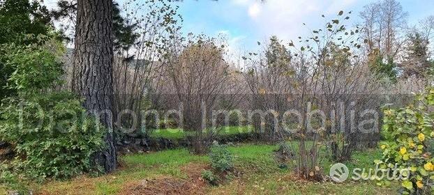 Terreno 22.260 mq con rustici a sant'alfio - Vista 5
