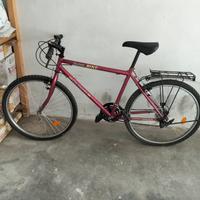 bicicletta  unisex