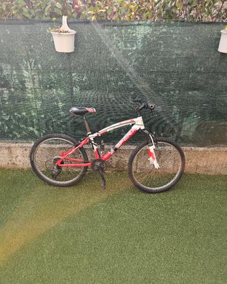bicicleta