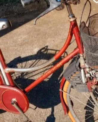 bicicletta 