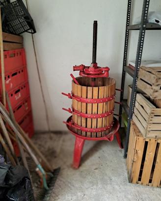 Torchio
