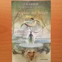 Libro "Il nipote del mago"
