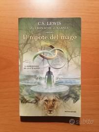 Libro "Il nipote del mago"