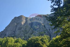 Albergo/Hotel - Santo Stefano d'Aveto