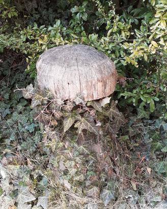 Decorazione giardino fungo di legno
