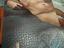 Immagine 4