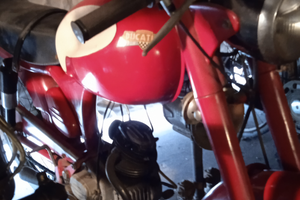 Ducati 65 ts sport del ' 52