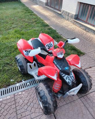 Quad Polaris 