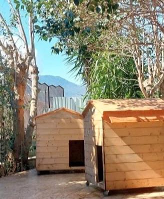 Case in legno per giardino o terrazzo 