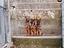 Immagine 6