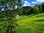 Immagine 24