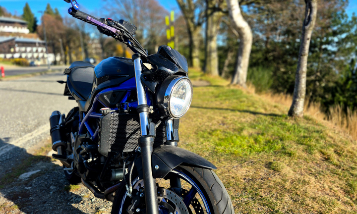 Suzuki sv 650 abs 2019