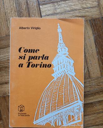 Libri Torino e Piemonte 