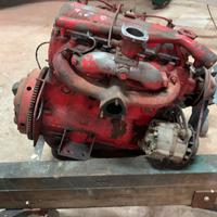 Campagnola Fiat Ar 59